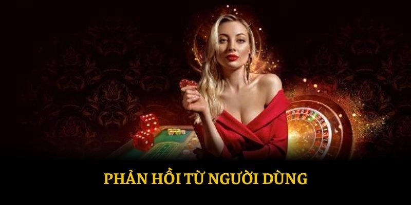 Phản hồi từ người dùng